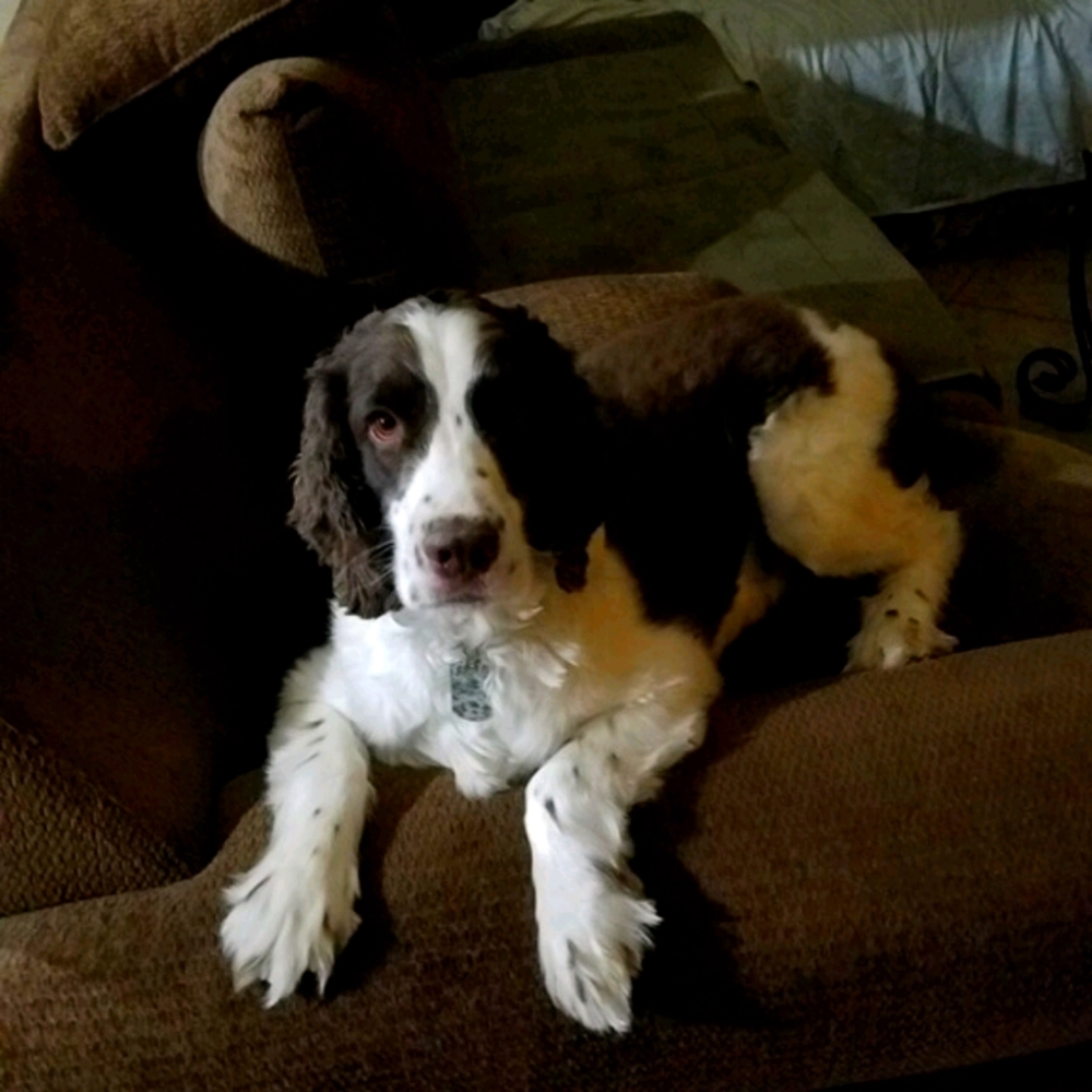 WELCOME to my closet!!!